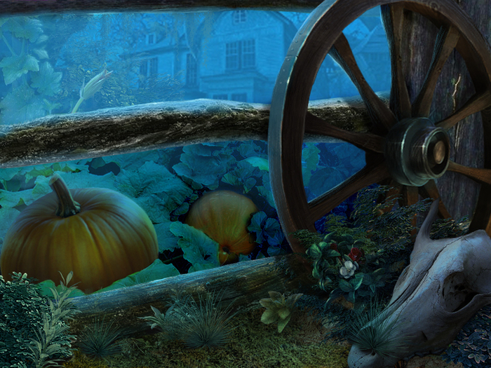 Зум для игры в стиле Hidden Object