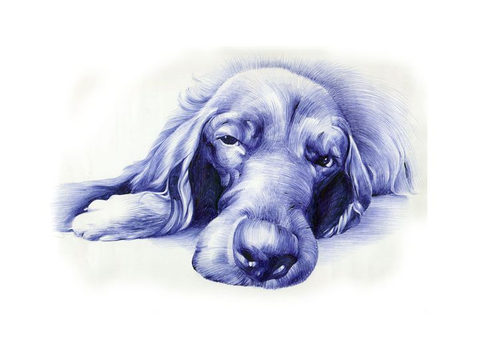 Любимый старик