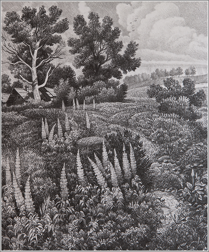 окраина Мурино