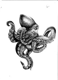 Осьминог 1/1