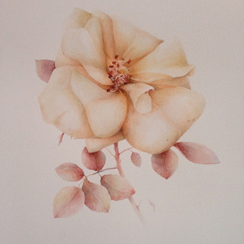 Roses... 30x40. Watercolor.