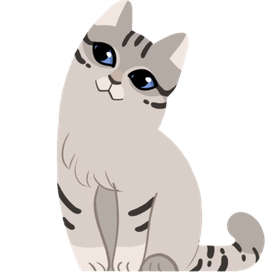 Серый котик