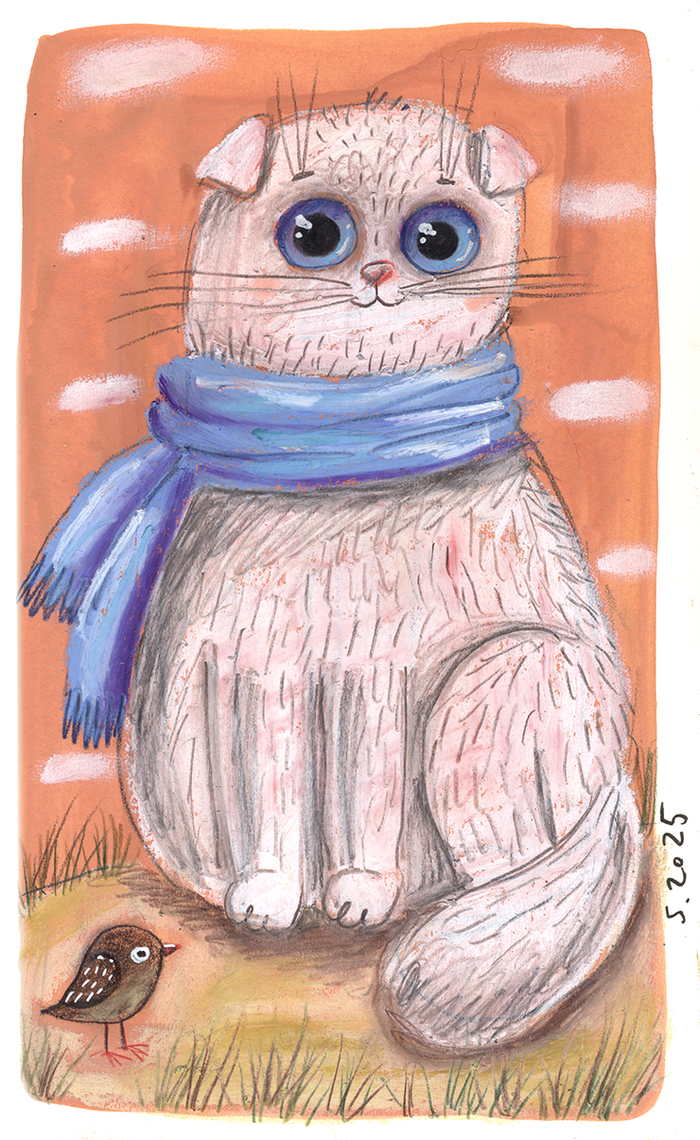 Вислоухая кошка