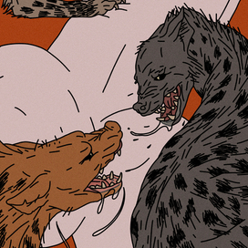 Гиены, кусающие *у*