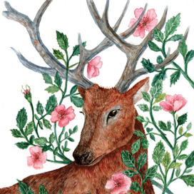 К книге Дж.Даррелла