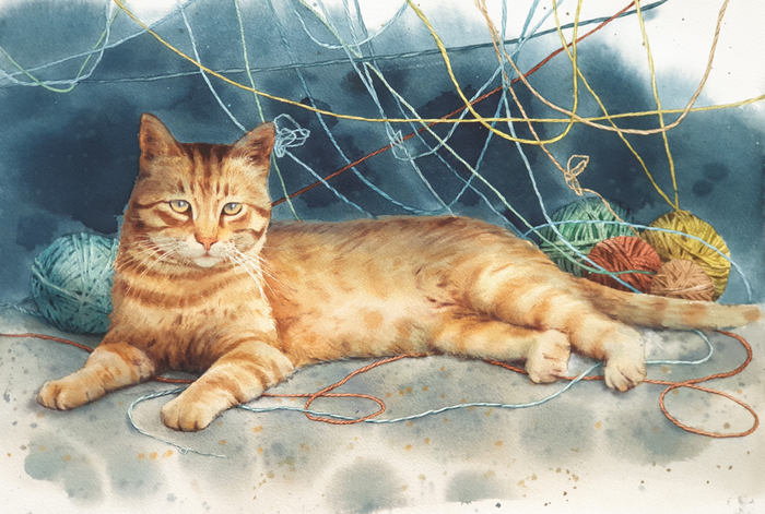 Запутанная история