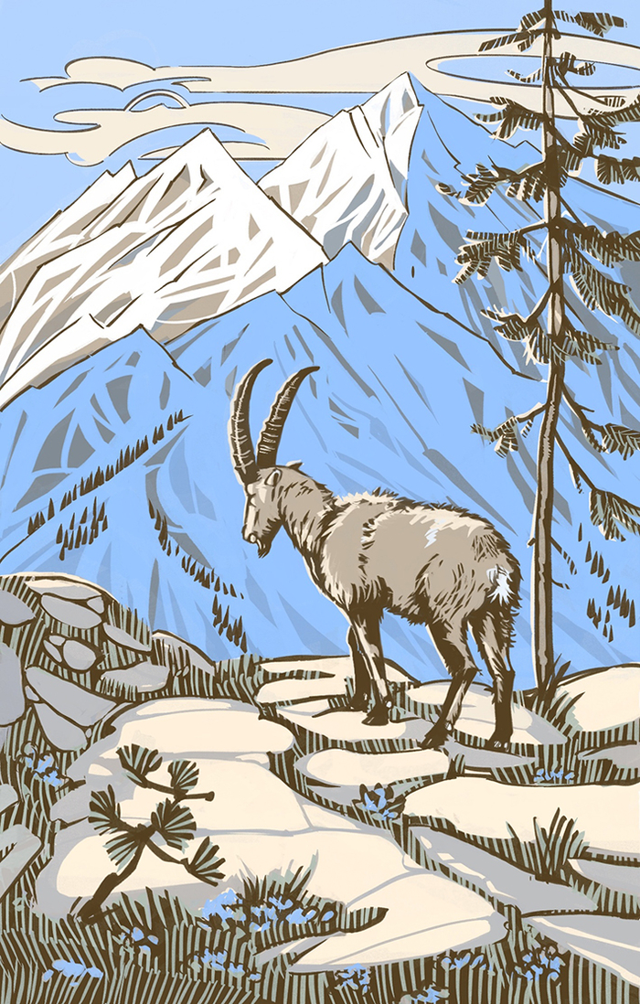 Тишина в горах