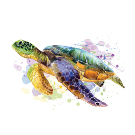 Морская черепаха