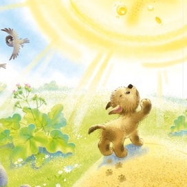 Солнце приставучее