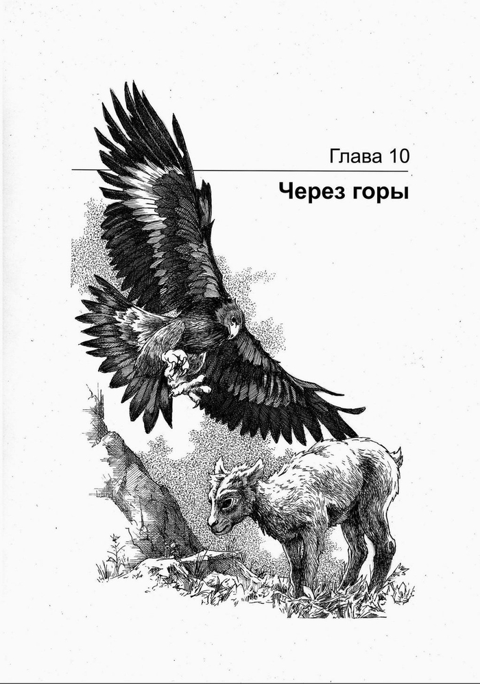 ГРИЗЛИ. Через горы