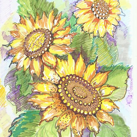 Осколки солнца