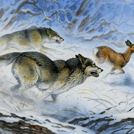 Волка ноги кормят .