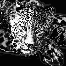 Леопард отдыхает.