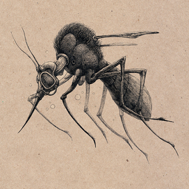 Жизнь насекомых