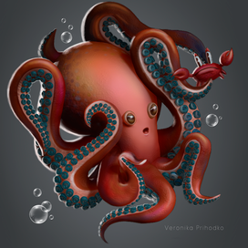 Octopus