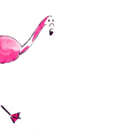 Pink Flamingo adventures