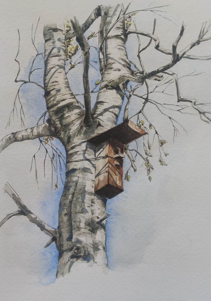 Скворечник