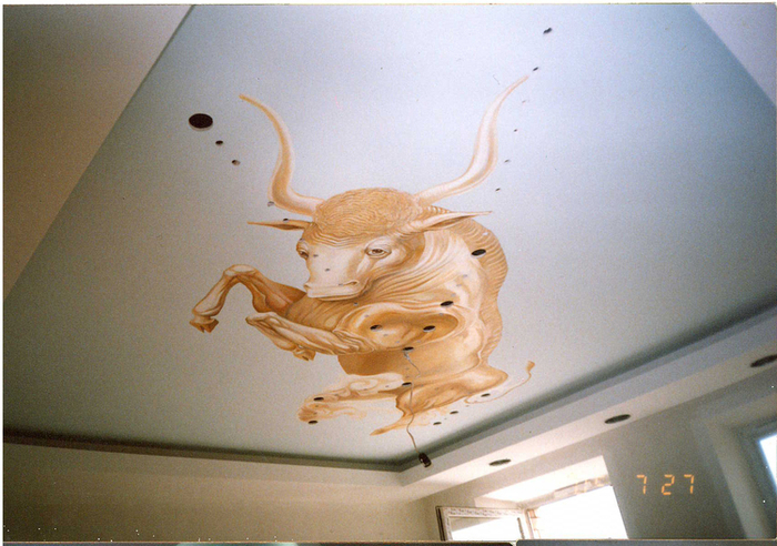 Потолок.2005г