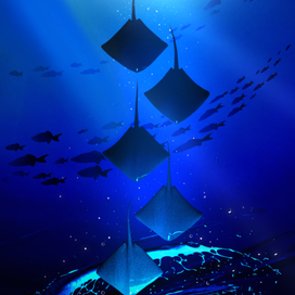 3D иллюстрация #1