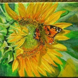 Подсолнух. Бабочка.