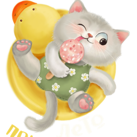 котик на море 