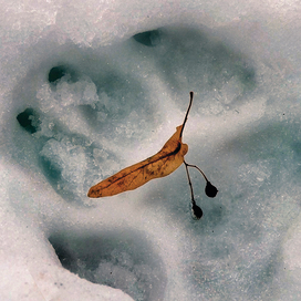 Глубокий след ...