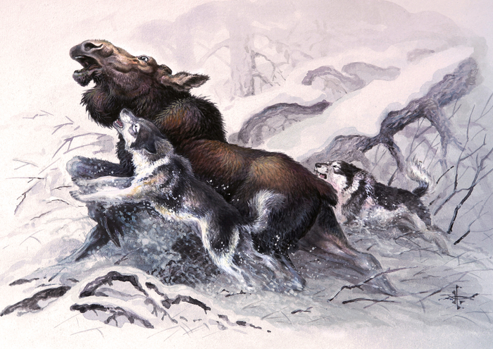 Остановили...