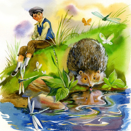 Ингушские стихи. Ёжик у ручья