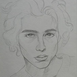 Портрет Американского актера Тимоти Шаламе