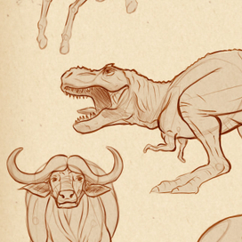 Скетчи человека и животных