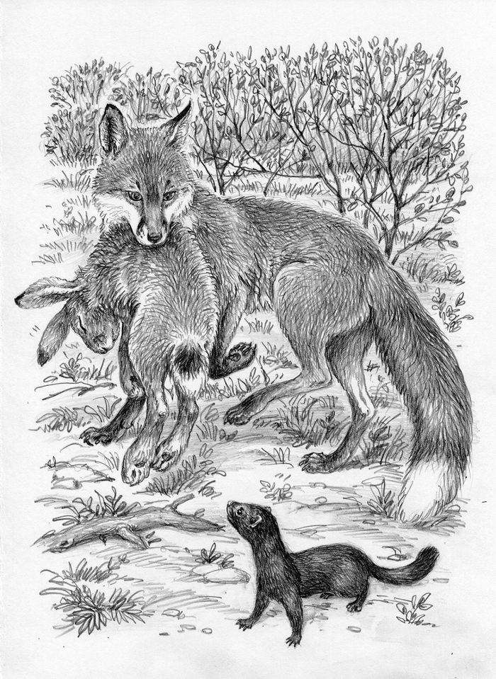 Это моя добыча.