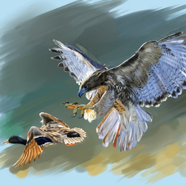 вохдужная охота