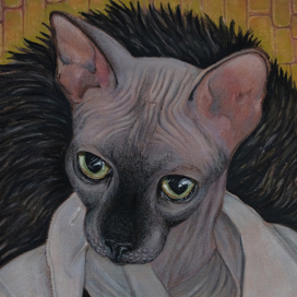 Кот Бари (фрагмент)