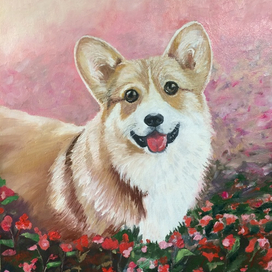 вельш-корги