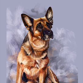 Швальбеннест Норвегия