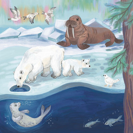 Кто где живёт. Издательство Робинс