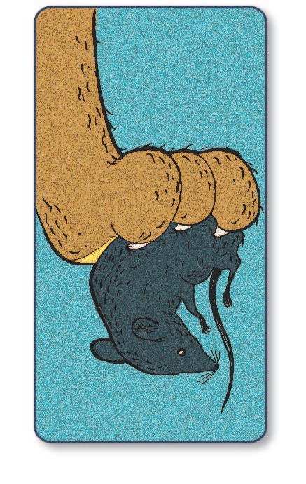 карточки для психологов