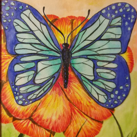 Бабочка на цветке