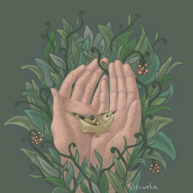 Руки природы