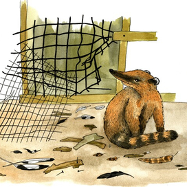 Катастрофа.