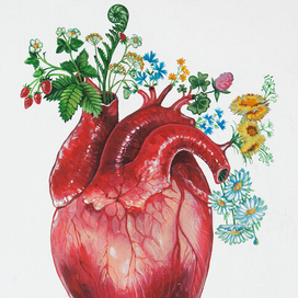 Анатомическое сердце