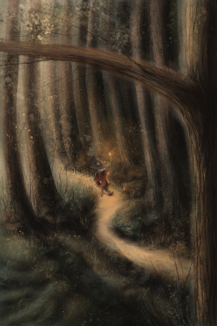 Путешествие кота