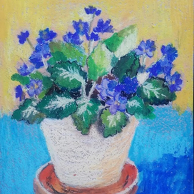 Фиалки в керамическом горшке