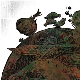 Местные рецепты-1