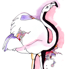 Фламинго