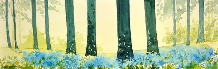 Панорама. Или еще одна вариация на тему "Поляна в лесу".