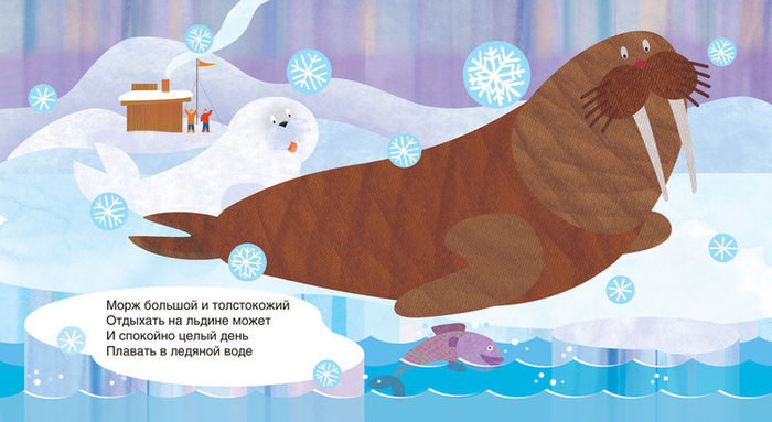 Морж с детенышем