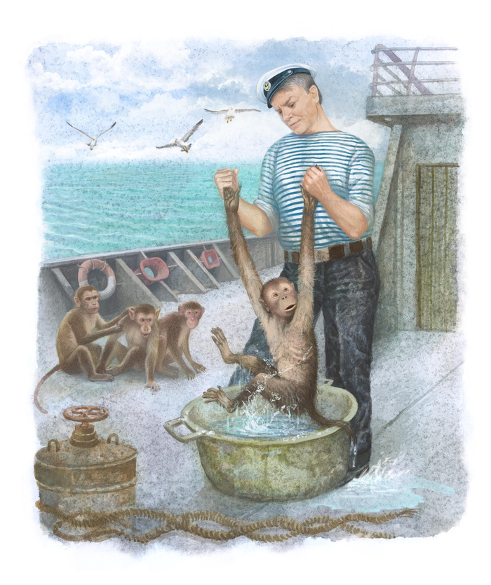 Банный день