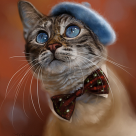 Кот Марселон