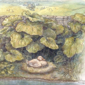 Х. К. Андерсен, «Гадкий утёнок» №1